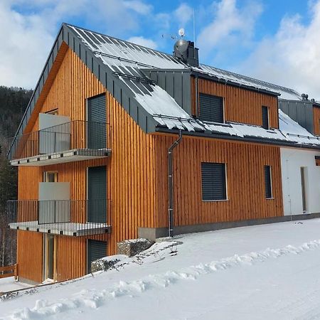 Apartman08 Dolní Morava Eksteriør bilde